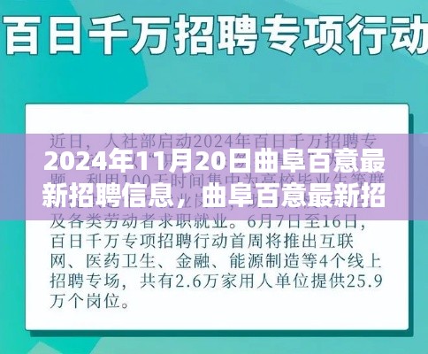 曲阜百意最新招聘信息揭秘，职场机遇与挑战展望于2024年11月20日