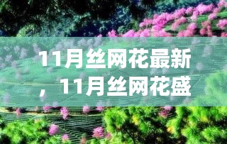 11月丝网花盛开，变化中的学习之旅与自信成就感的绽放时刻