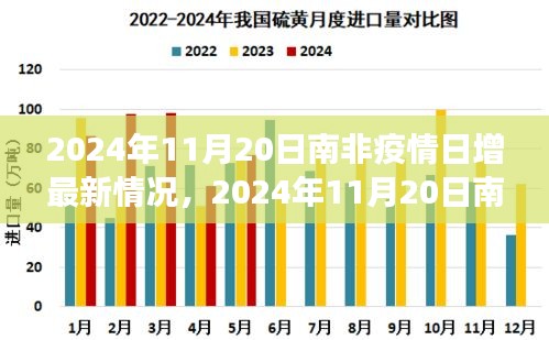 南非疫情最新动态，全面解析与前沿观察（2024年11月20日）