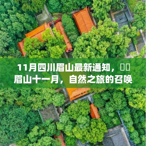 眉山十一月自然之旅，探索宁静之美的召唤，启程探索之旅