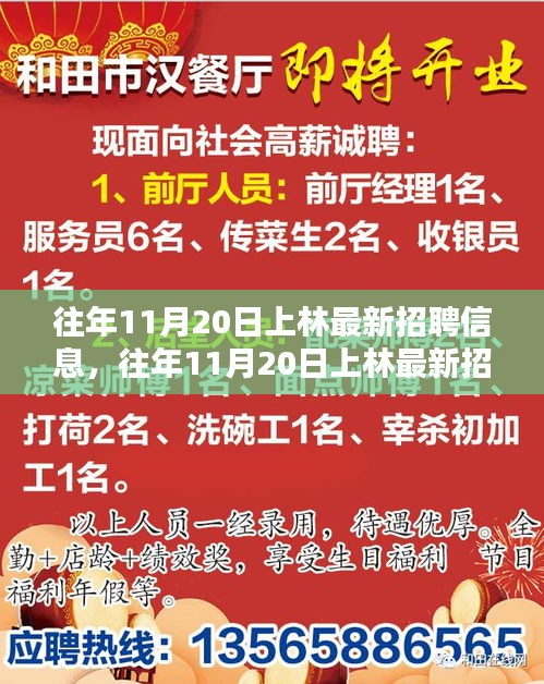 往年11月20日上林最新招聘信息详解与全面评测介绍