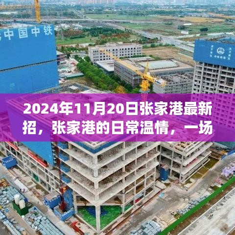 张家港招聘奇遇，温情日常与友情的绽放时刻（2024年11月20日）