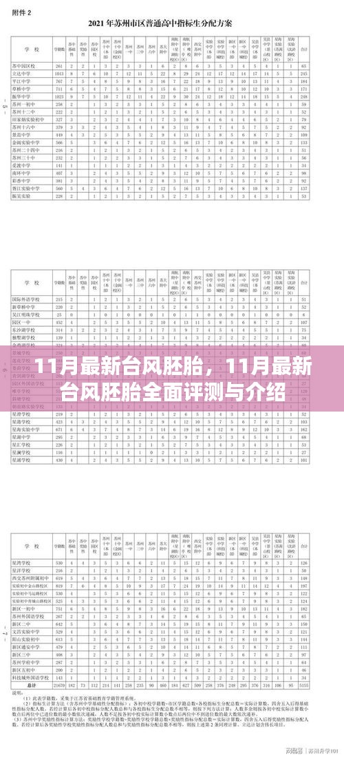 11月最新台风胚胎全面介绍与评测