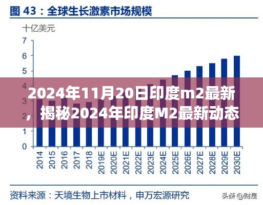 2024年11月20日印度m2最新，揭秘2024年印度M2最新动态，深度解读与预测