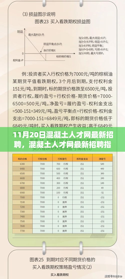 11月20日混凝土人才网最新招聘，混凝土人才网最新招聘指南，如何高效应聘混凝土行业职位