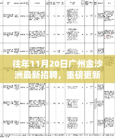 广州金沙洲最新招聘重磅更新，职业梦想从这里起航！历年招聘信息大揭秘！