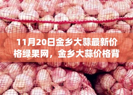 11月20日金乡大蒜最新价格绿果网，金乡大蒜价格背后的温馨故事，绿果网与我们的欢笑时光