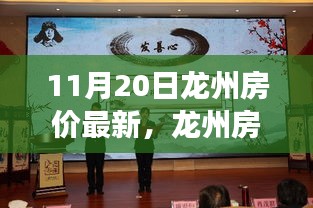 龙州最新房价动态，学习变化的力量，成就梦想的舞台，积极正能量共舞