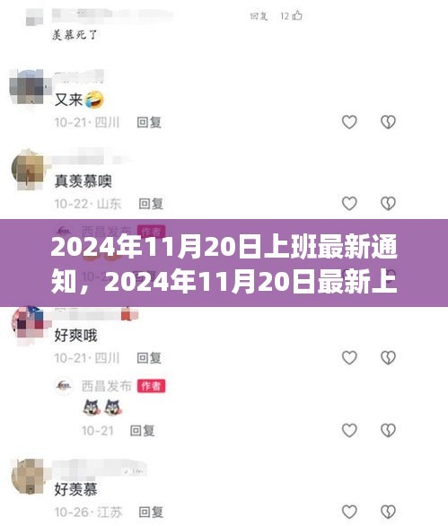 2024年11月20日最新上班通知，工作调整与准备事项详解