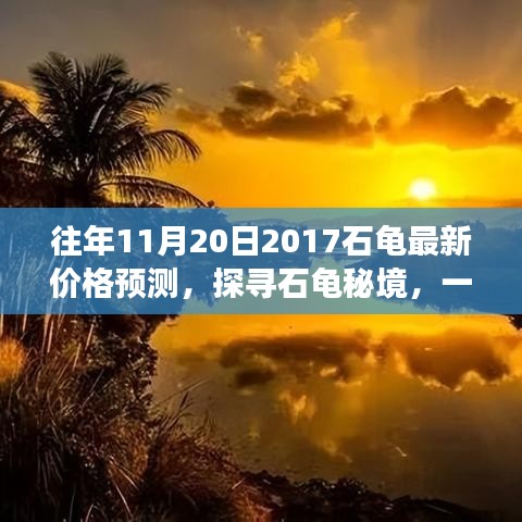 探寻石龟秘境，最新价格预测与心灵之旅启程的呼唤