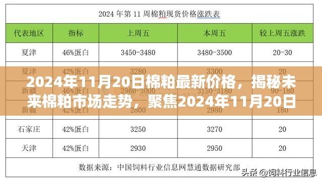 揭秘棉粕市场走势，最新价格分析与未来趋势预测（2024年11月20日）