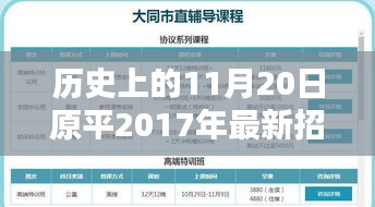 历史上的11月20日与最新原平市政府招聘指南，从初学者到进阶用户的参与流程