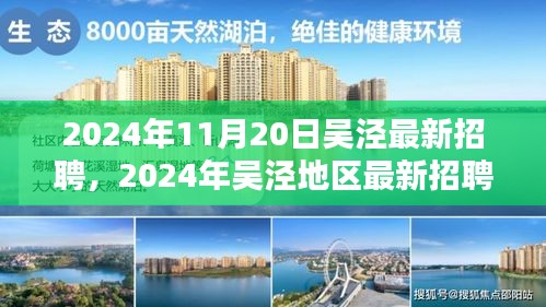 2024年11月20日吴泾最新招聘，2024年吴泾地区最新招聘趋势及职业机遇探索