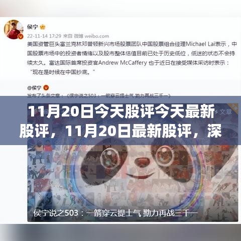 深度解析市场走势与投资机会，最新股评报告揭示投资机会