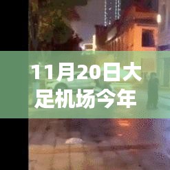 揭秘大足机场发展新篇章，最新消息与进展报告（附日期）