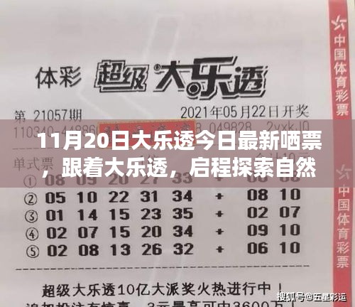 11月20日大乐透最新投票，启程探索自然美景，寻找内心宁静乐园