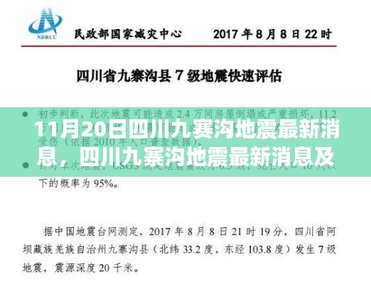 四川九寨沟地震最新消息及应对指南，初学者与进阶用户必备指南（11月20日更新）