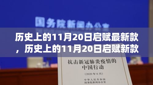 历史上的11月20日启赋新款发布，深度解析与观点阐述