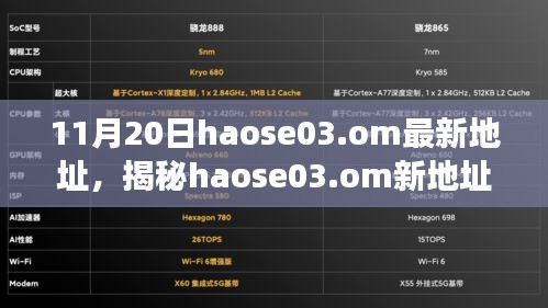 揭秘haose03.om新地址背后的故事，影响与地位回顾，最新地址揭晓（11月20日）