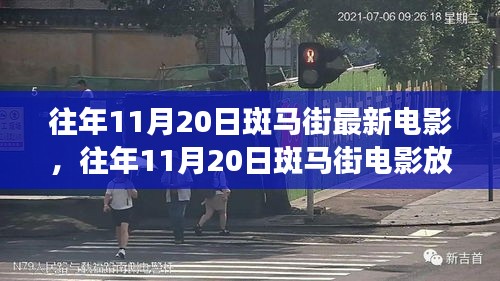 往年11月20日斑马街电影文化深度探讨，放映与现象观察