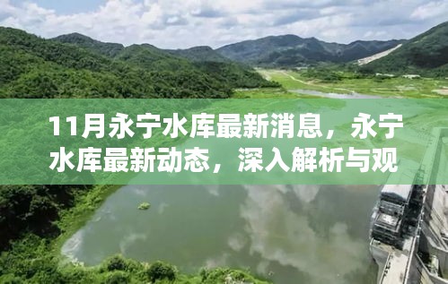 永宁水库最新动态解析与观点阐述