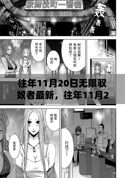 往年11月20日无限驭奴者最新，往年11月20日无限驭奴者最新动态，深度解析要点