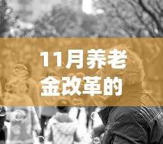 聚焦11月养老金改革，最新动态与深度解读揭秘改革进展