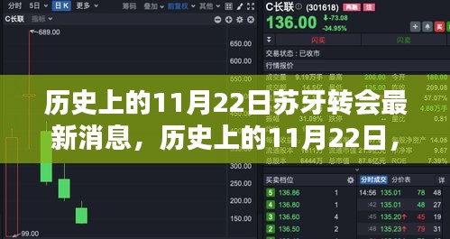 历史上的11月22日苏牙转会最新消息，历史上的11月22日，苏牙转会背后的自然之旅，追寻内心的宁静与微笑