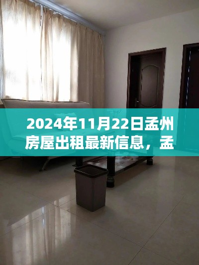 孟州房屋出租最新信息汇总，小红书精选推荐，2024年11月更新