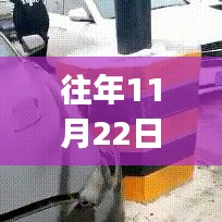 往年11月22日最新车牌GIF，影响探究与观点分歧