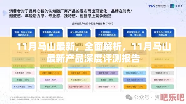 11月马山最新，全面解析，11月马山最新产品深度评测报告