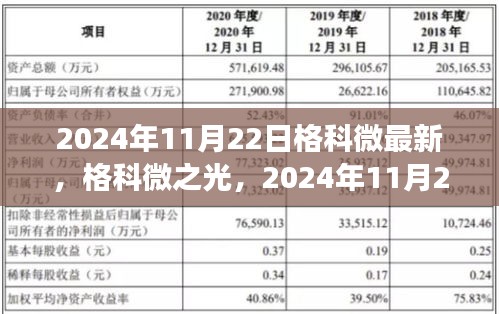 2024年11月22日格科微最新，格科微之光，2024年11月22日的回顾与展望