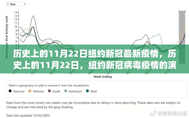 历史上的11月22日纽约新冠最新疫情，历史上的11月22日，纽约新冠病毒疫情的演变与现状