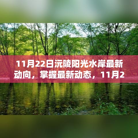 11月22日沅陵阳光水岸最新动态与行动指南