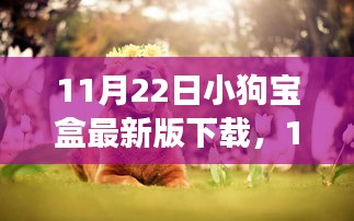 11月22日小狗宝盒最新版下载，11月22日小狗宝盒最新版下载攻略，体验全新功能与特色