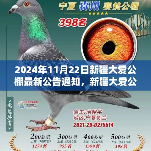 2024年11月22日新疆大爱公棚最新公告通知，新疆大爱公棚公告揭秘，小巷深处的独特风味小店，等你来探秘！