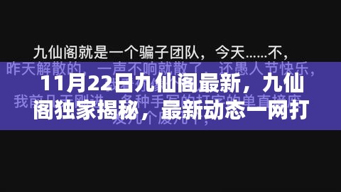 九仙阁独家揭秘，最新动态一网打尽，精彩纷呈的11月22日