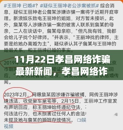 11月22日孝昌网络诈骗最新新闻，孝昌网络诈骗最新动态，揭秘11月22日背后的故事