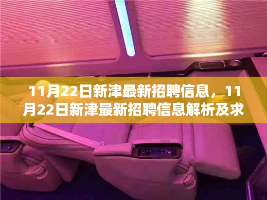 11月22日新津最新招聘信息，11月22日新津最新招聘信息解析及求职策略建议