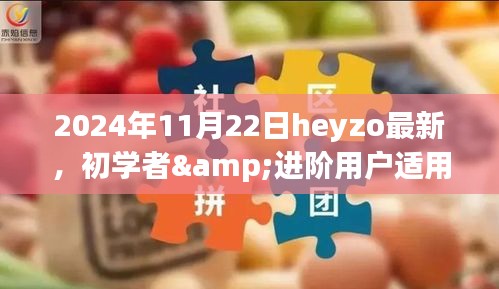 Heyzo新功能使用指南，初学者与进阶用户必备技能，掌握核心操作