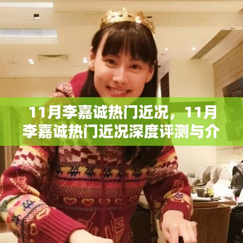 李嘉诚11月最新动态，深度评测与介绍