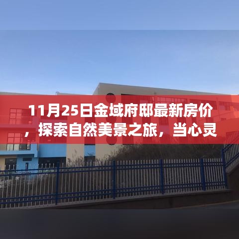 11月25日金域府邸最新房价揭秘，心灵遇见静谧港湾的自然美景之旅