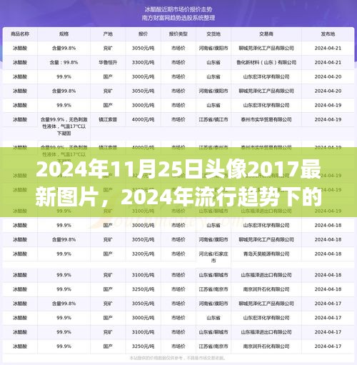 2024年11月25日头像2017最新图片，2024年流行趋势下的复古与新颖，寻找头像图片的灵感之旅