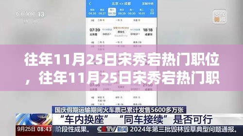 宋秀宕热门职位深度解析，历年11月25日趋势回顾与展望