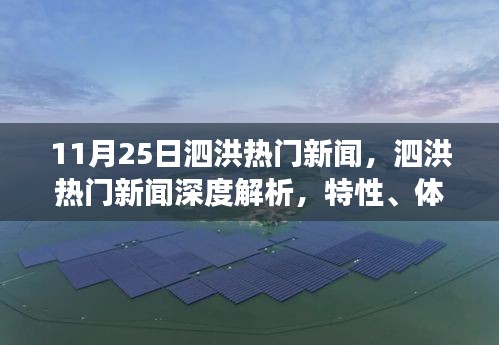 11月25日泗洪热门新闻，泗洪热门新闻深度解析，特性、体验、竞品对比与用户洞察