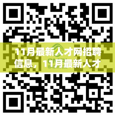 11月最新人才网招聘信息全面解析与介绍