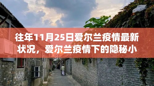 爱尔兰隐秘小巷特色小店故事，疫情下的独特生存状态与往年疫情最新状况回顾