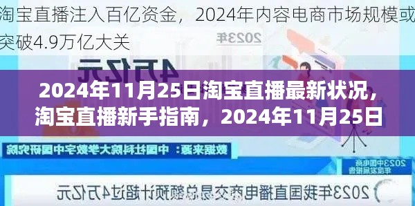 淘宝直播新手指南，详解2024年11月25日淘宝直播最新状况