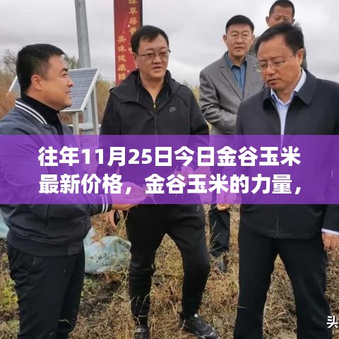 金谷玉米的力量，学习变化，收获自信与成就感——最新价格资讯（往年今日价格）