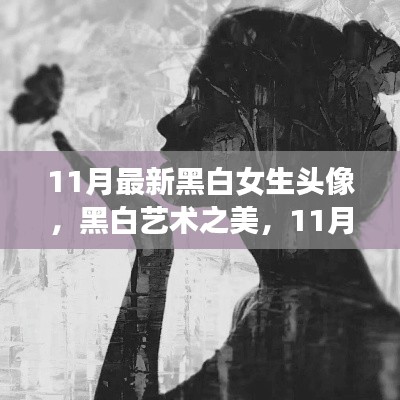 11月最新黑白女生头像深度解析与艺术之美的探索